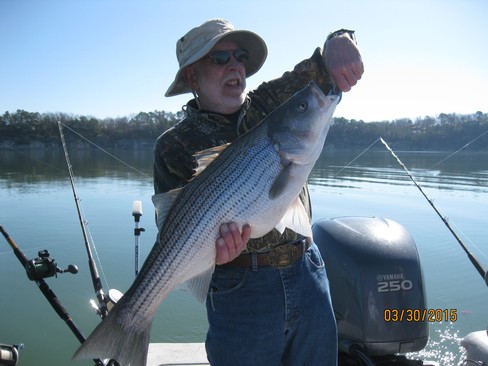 Nice Striped Bass